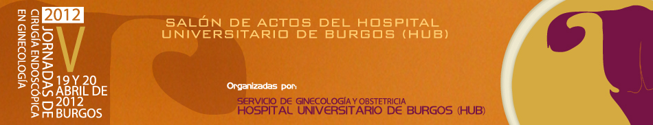 V Jornadas de Cirugía Endoscópica en Ginecología